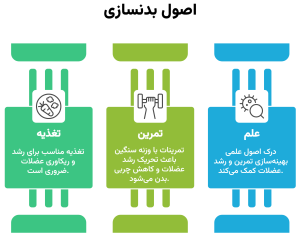 اصول بدنسازی